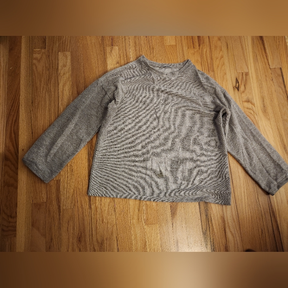 Brown Zara Sweater
